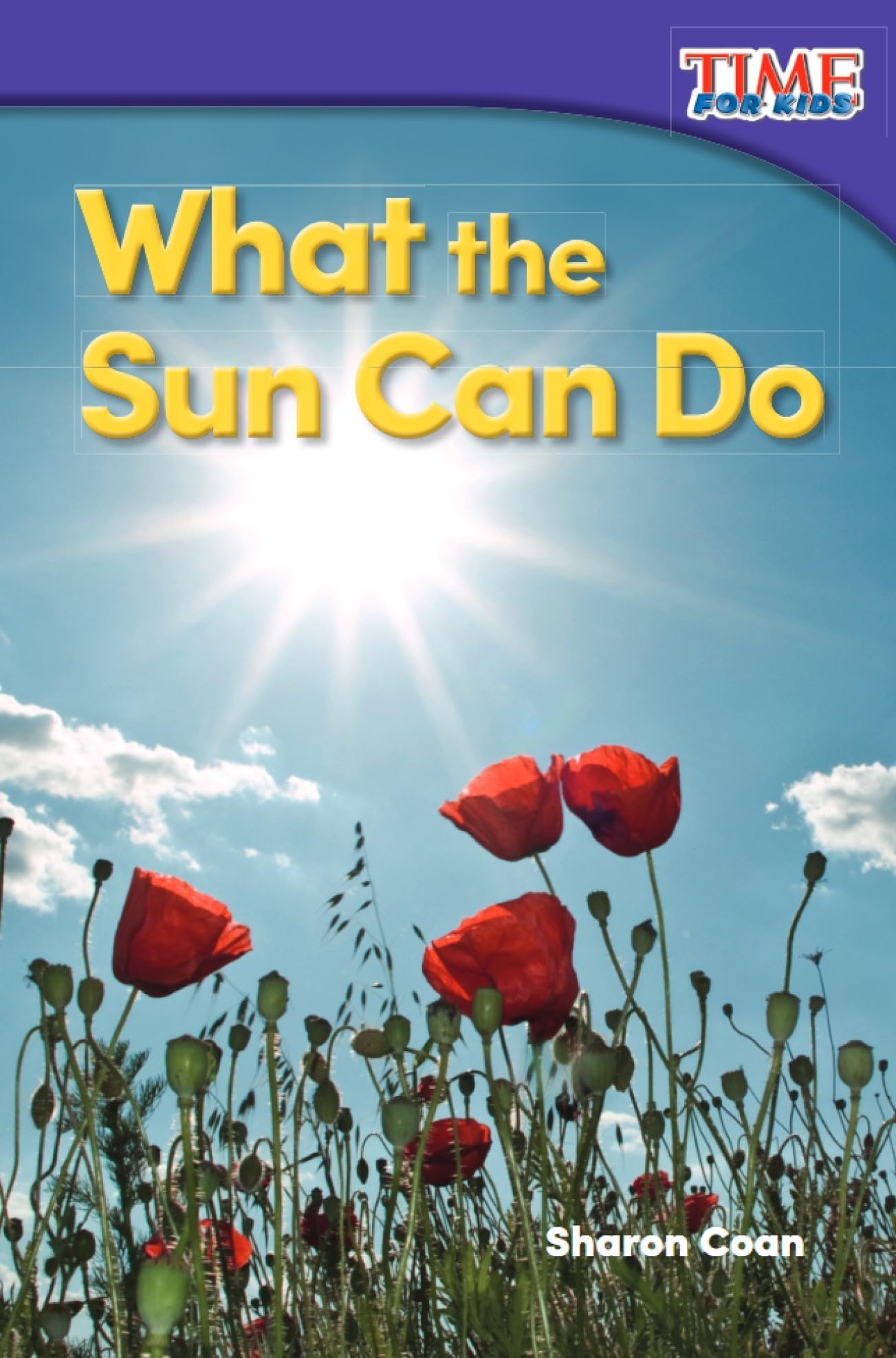 What the Sun Can Do