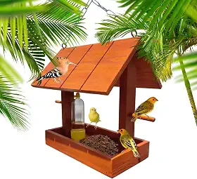 Comedouro Tratador E Bebedouro Casinha De Passarinho Livres Luxo