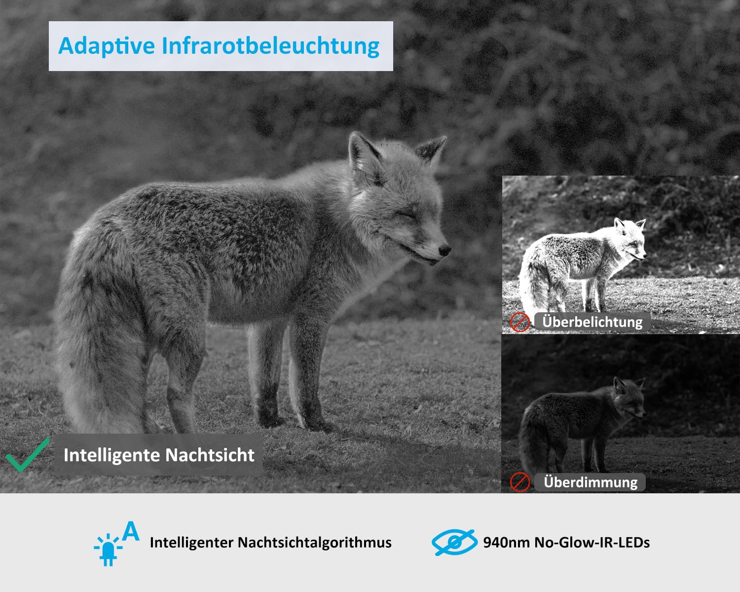 GardePro X50 4G LTE Wildkamera mit SIM-Karte und App, 48MP 1296P H.265 Video, No Glow Nachtsicht Bewegungsmelder, 4G Jagdkamera Wildtierkamera Handyübertragung, IP66 Fotofalle