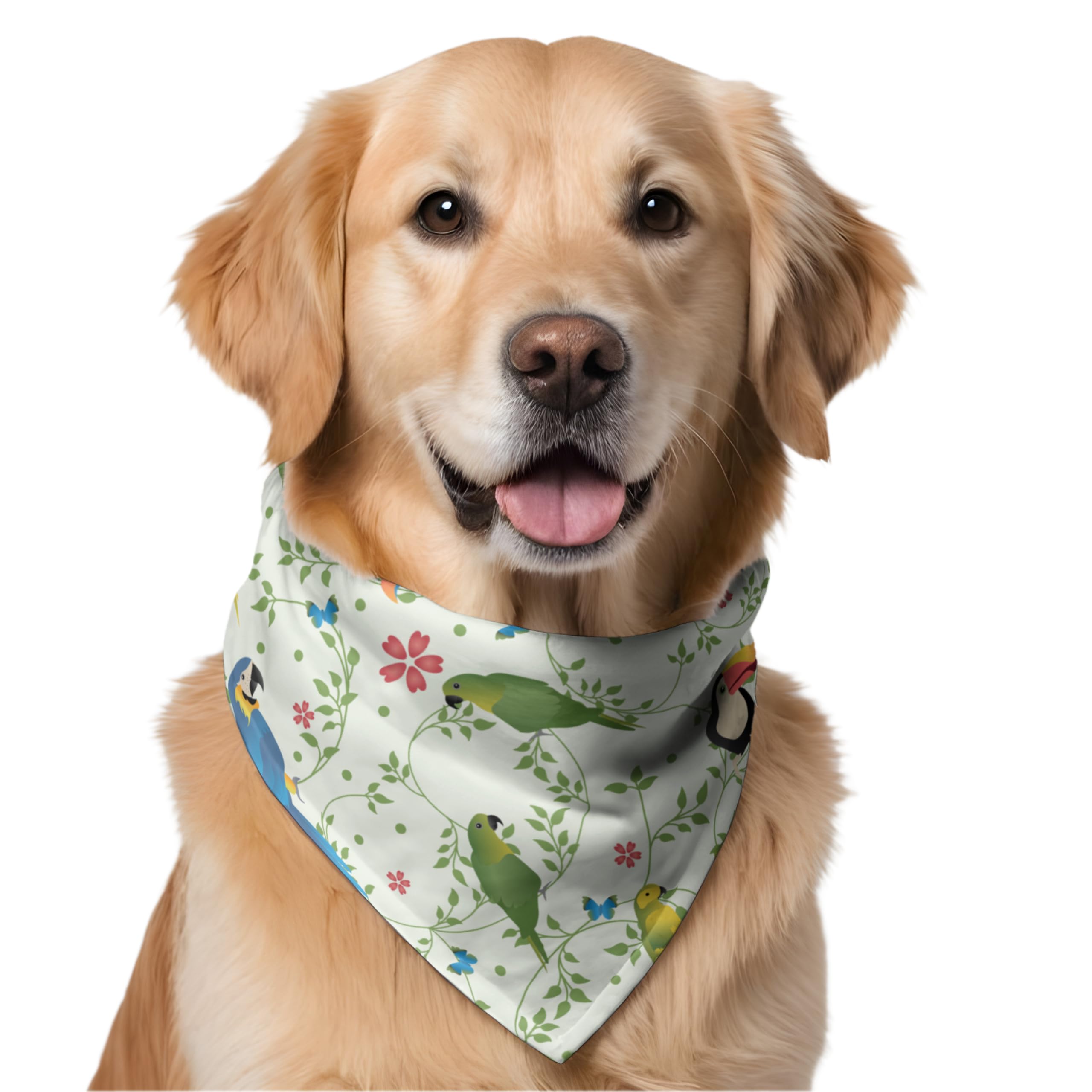 W Brings Toucan & Parrot Dog Bandana/Dog Scarf | This Beautiful Gorgeous Design Dog Bandana Scarf is Perfect Styling Accessory for Dogs Large, Medium & Small. One Size Fits All. (B0D24YBS4X) Amazon Price History, Amazon Price Tracker