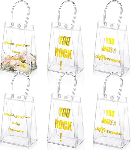 Maitys 21 Pcs Clear Employee Appreciation Gift Bags with Handle 5.12 x 7.48 Inches Small PVC Tote Bags Reusable Clear Party Favor Bags Transparent
