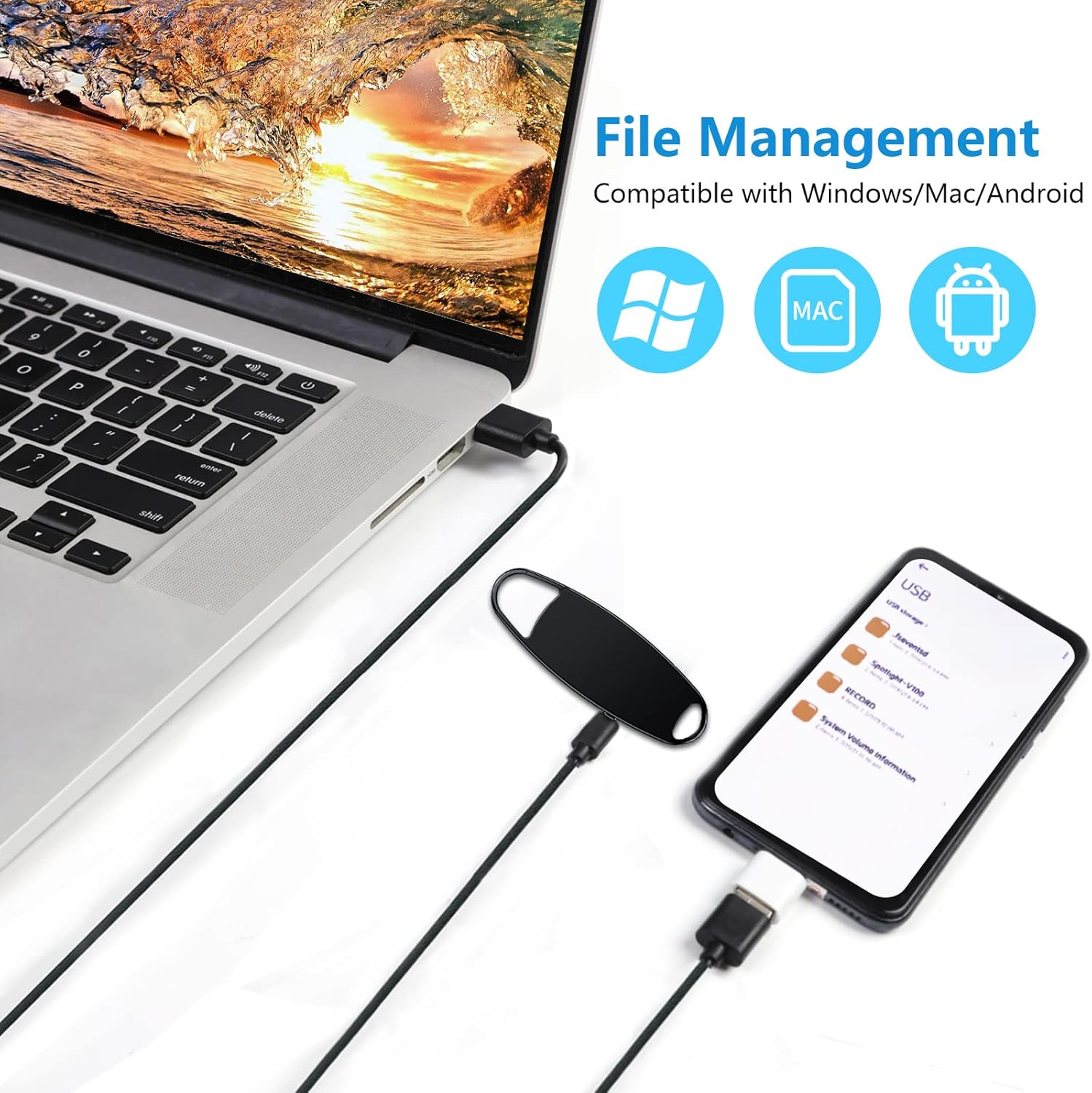 File Compatibilitat de gestió