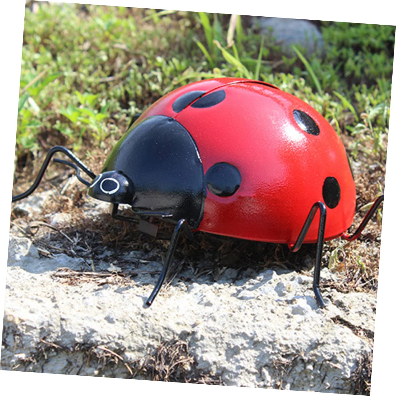 Amazon.co.jp: iplusmile シー大型フェイクてんとう虫