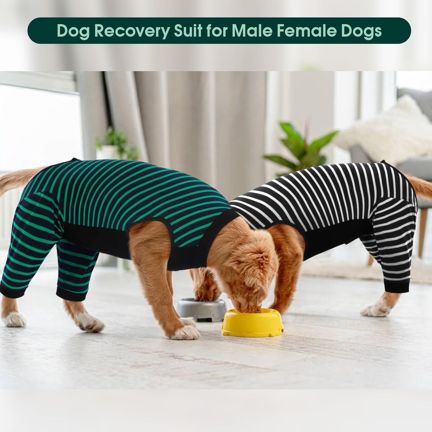 Kuoser Dog Recovery Suit, Anti Licking Dogs Rear Leg Sleeve, Abdominal Dog Surgical Suit with Dog Pants Cover Protect Wounds, Dogs Elbow Protector Soft Pet Surgery Onesie Cone Alternative, Green 4XL