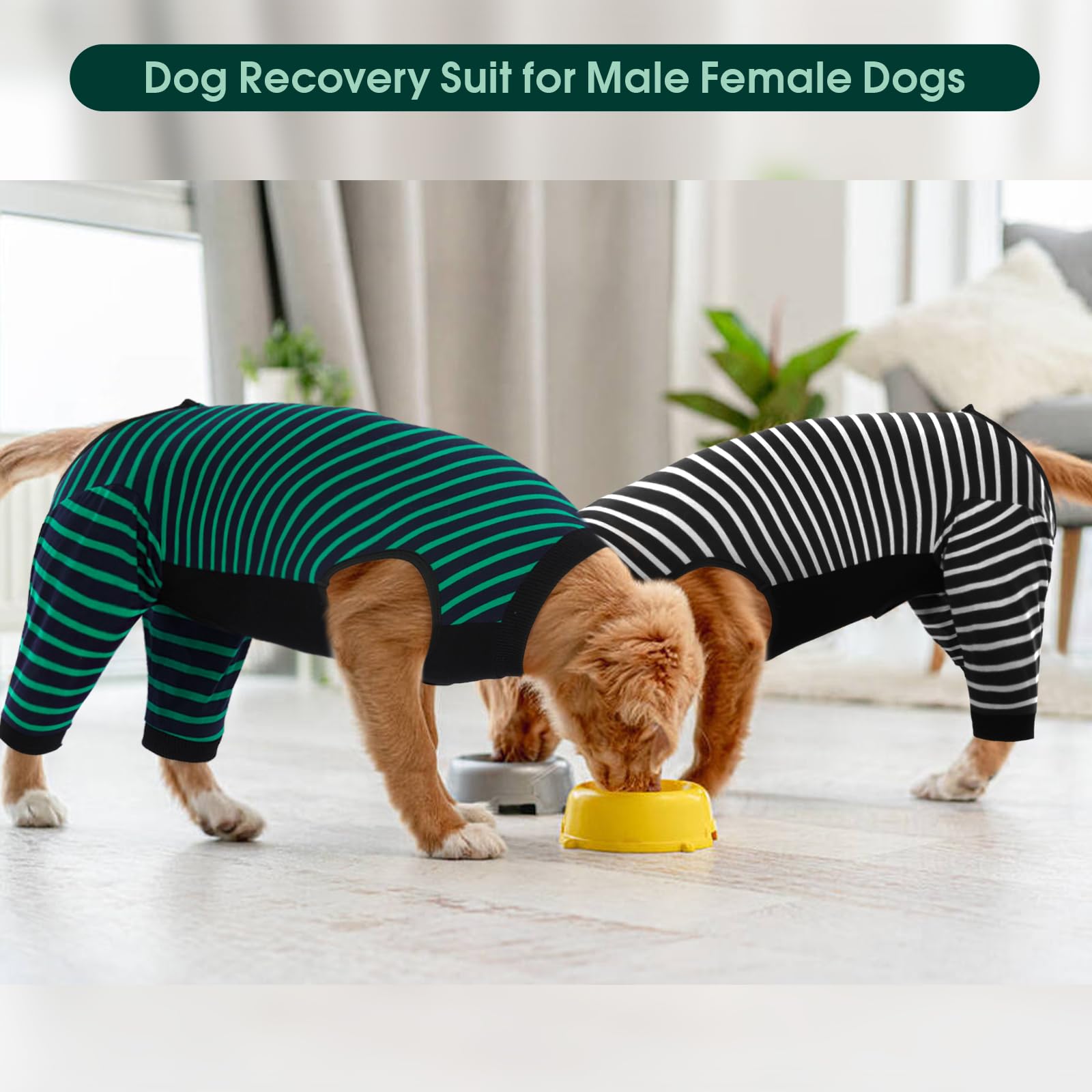 Kuoser Tuta per il recupero chirurgico del cane femmina maschio, tuta chirurgica per cani con manica per il corpo zampe posteriori per prevenire morsi di leccare, body per cani con bretelle per gambe