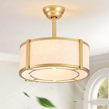 Boho Gold Caged Fandelier Ceiling Fans with Lights and Remote Control