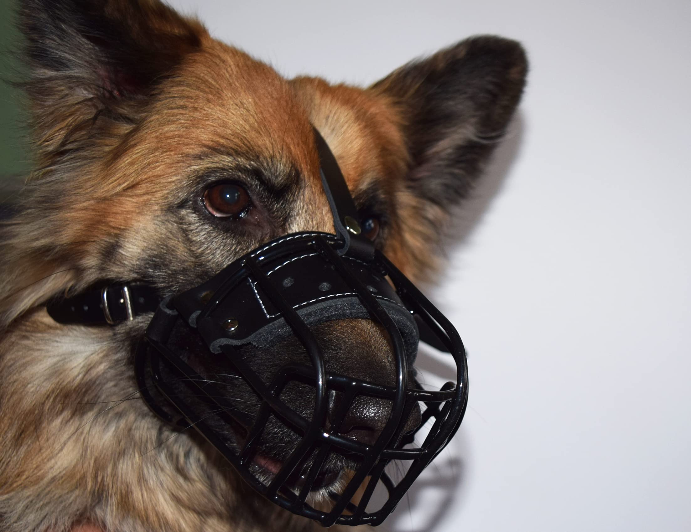 Muselière en métal robuste pour chien, berger allemand, labrador et autres
