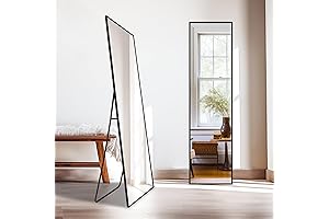 Delma Full Length Standing Wall Mirror with Aluminium Frame in Black