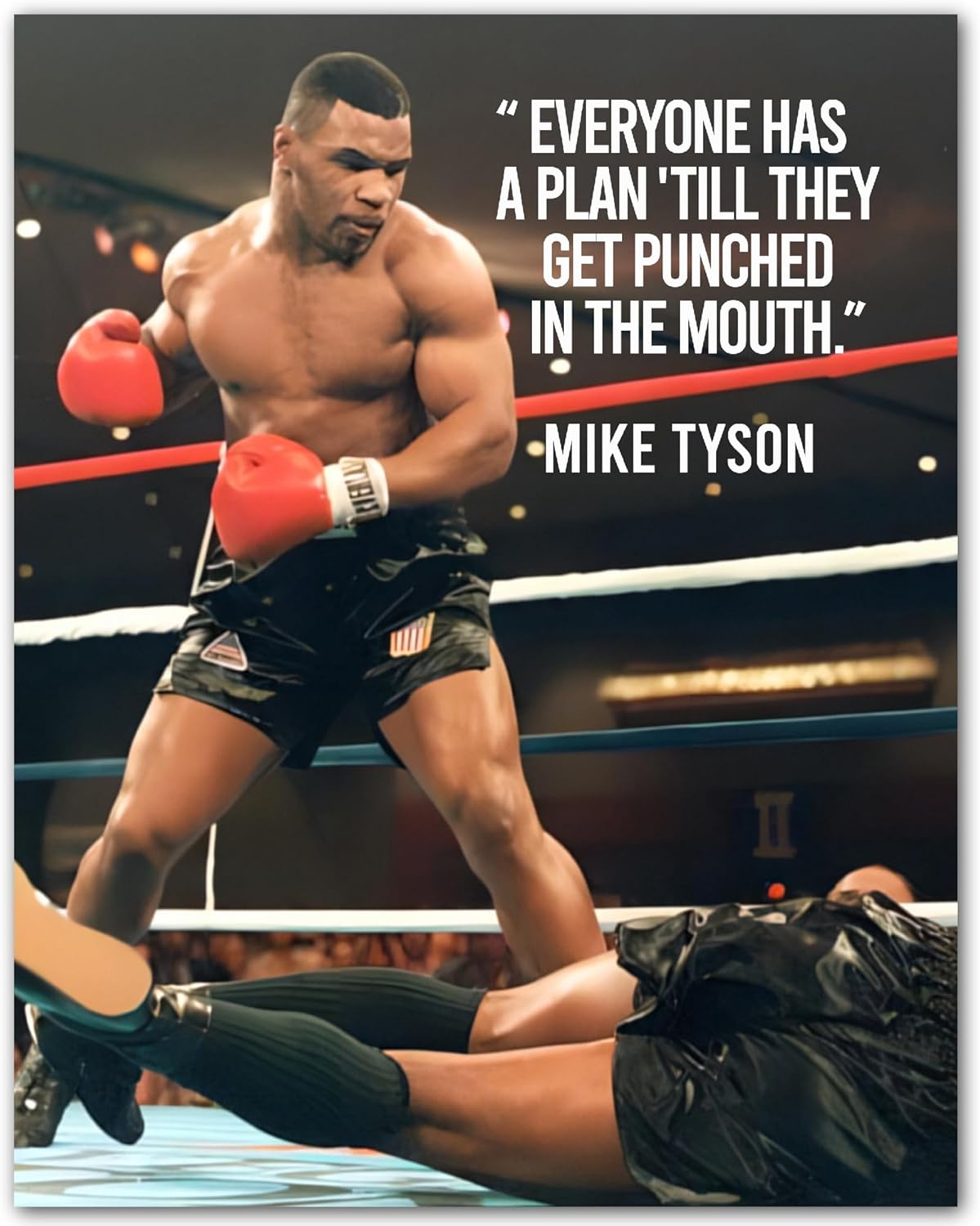 Everyone Has a Plan – Famous Boxing Quote Inspirational Wall Art, Premium Quality Thick Cardstock Poster Print, 18 x 24 (Unframed)