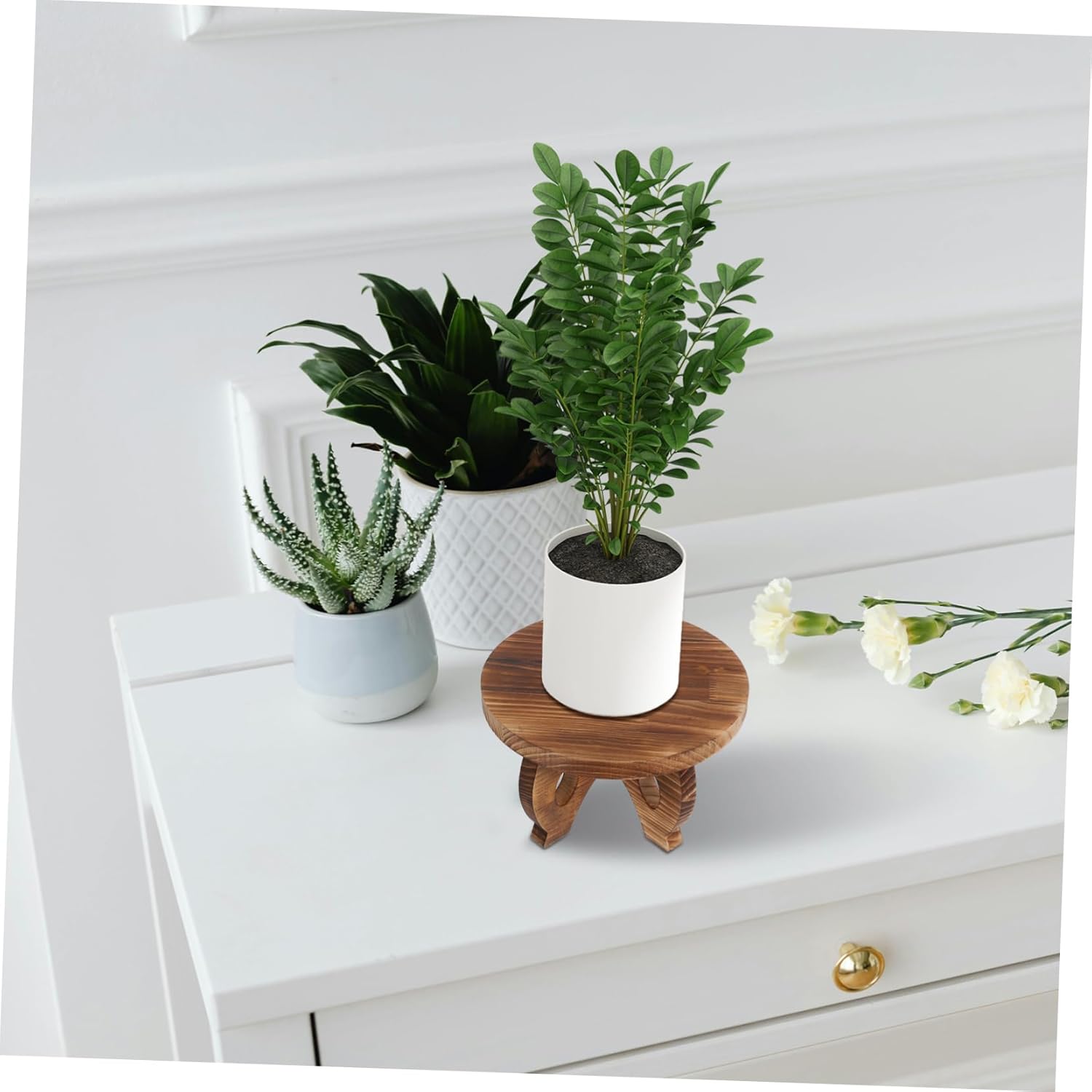 Wood Plant Stand Indoor Round Base Rustic Wooden Pedestal Display Riser for Flower Pots Small Plant Holders and Bonsai for Home Decor and Garden Use