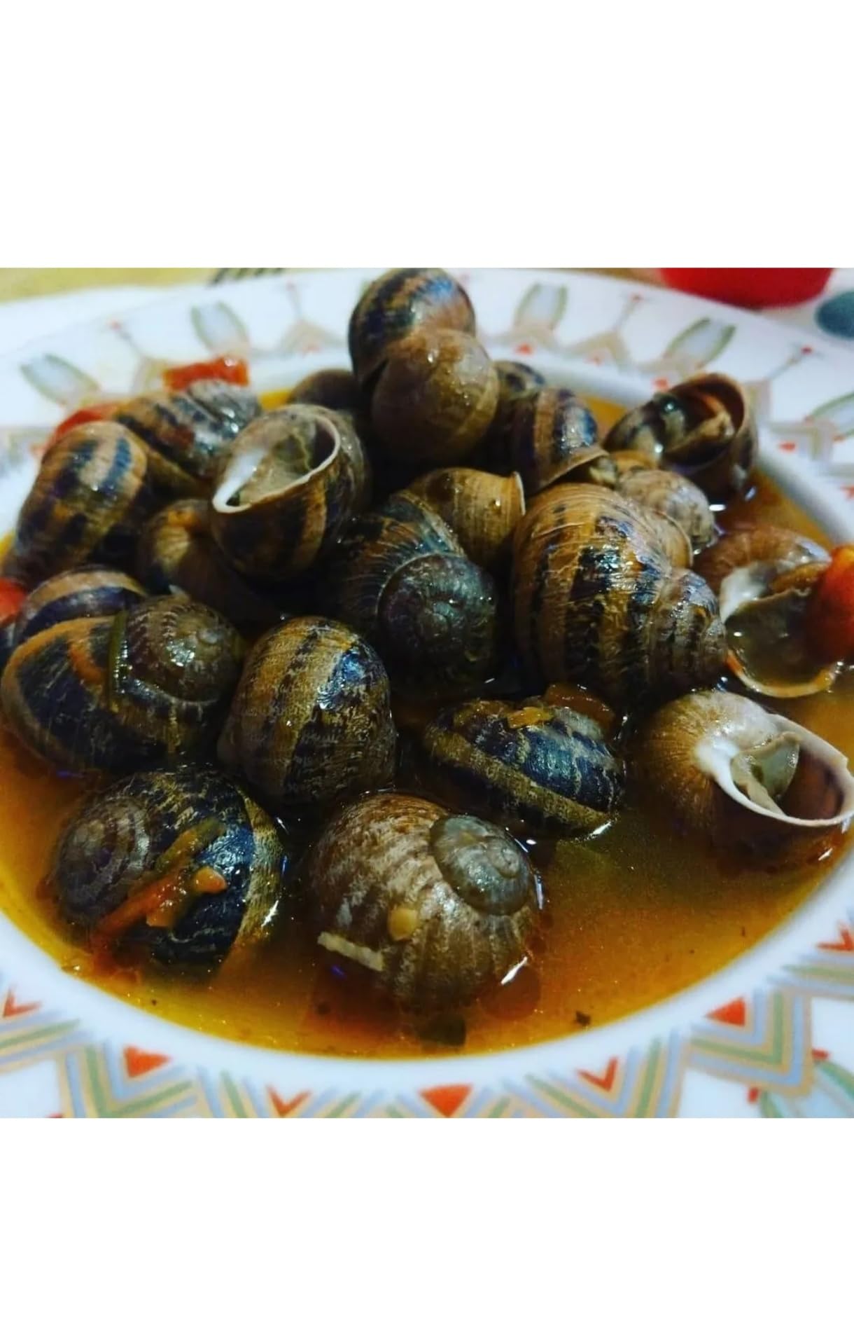 Lumache spurgate-helix aspersa