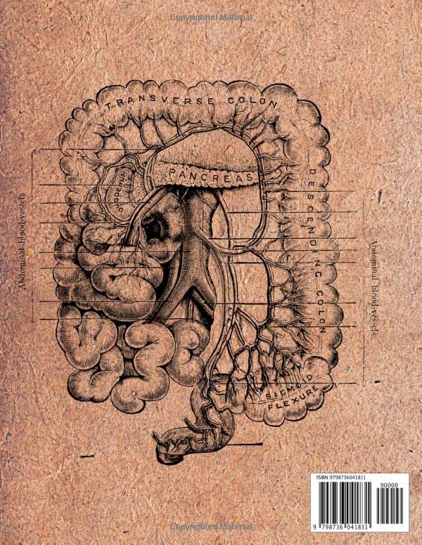 Gastroenterology Notebook: Vintage Anatomy - Digestive System, 8.5" x 11", 100 College Ruled Pages, Matte Cover - Image 2