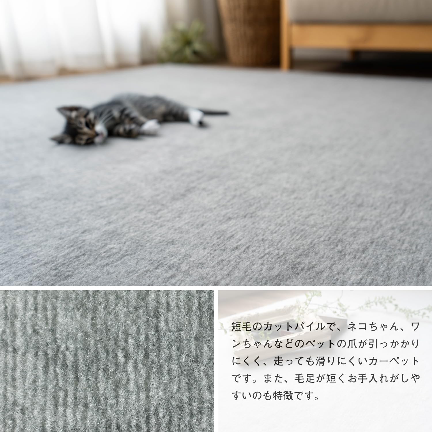 Amazon | サヤンサヤン クレール 抗ダニ 防臭 切れる ラグ 3畳 江戸間
