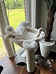 Review Image by whatyouseeiswhatyouget whatyouseeiswhatyouget
