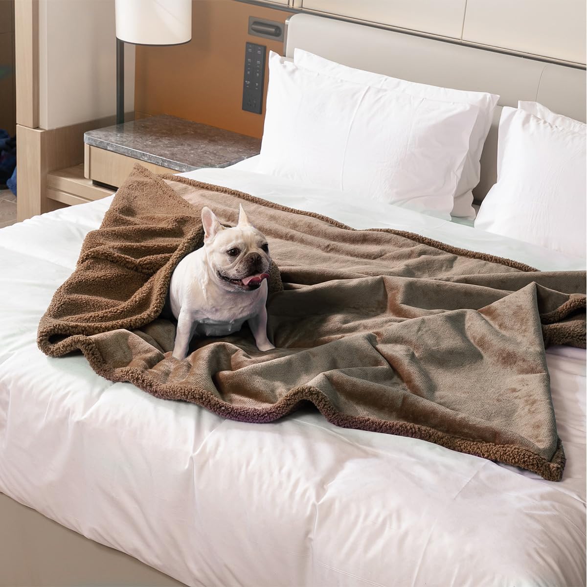 Couverture imperméable lavable et étanche pour animal de compagnie pour chiens de taille moyenne et grands chats – Couverture douce pour chiot et canapé – Gris – 200 x 200 cm