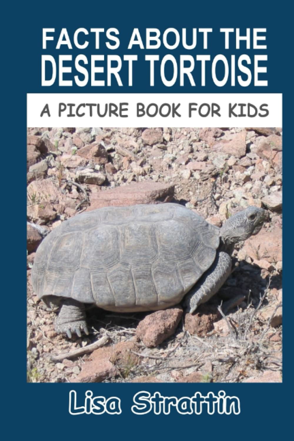 Facts About the Desert Tortoise