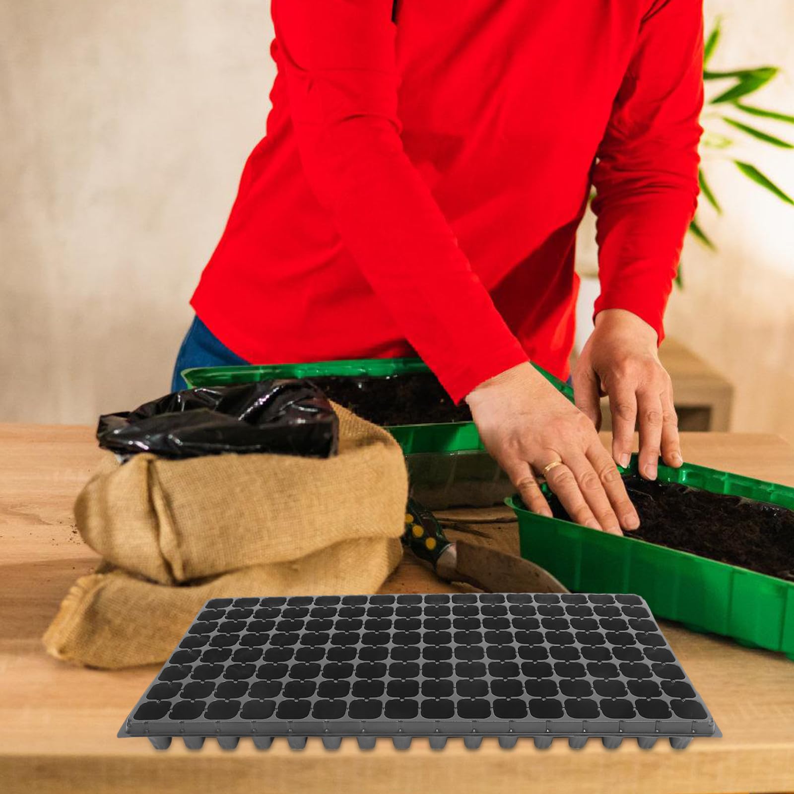 IMIKEYA Lot de 10 Plateaux de Germination réutilisables - 128 alvéoles - Plateaux de Culture pour la Germination en Serre intérieure, 80 g