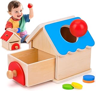 Montessori Spielzeug ab 1 2 3 Jahr Baby Geschenk Junge Mädchen 1-2-3 Jahre Kinderspielzeug | Holzspielzeug ab 1 Jahr Geburtstagsgeschenk | Sensorik Spielzeug für 12 Monate Jungen Mädchen Motorikwürfel