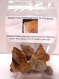 Petrified Texas Palmwood - Authentic scarce fossils for Rock Tumbling,Jewelry Making & collecting - 4 oz Bag