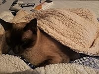 Review Image by The Wolf The Wolf