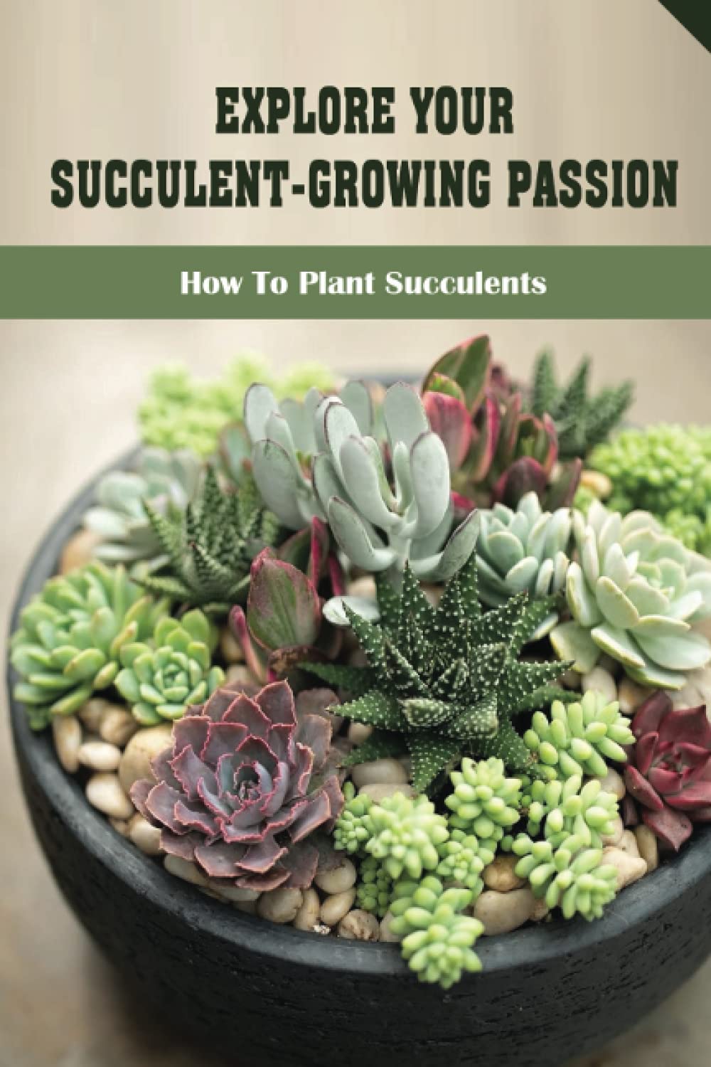 Explore Your Succulent-Growing Passion: How To Plant Succulents: Cure For Diseases For Succulent Plant