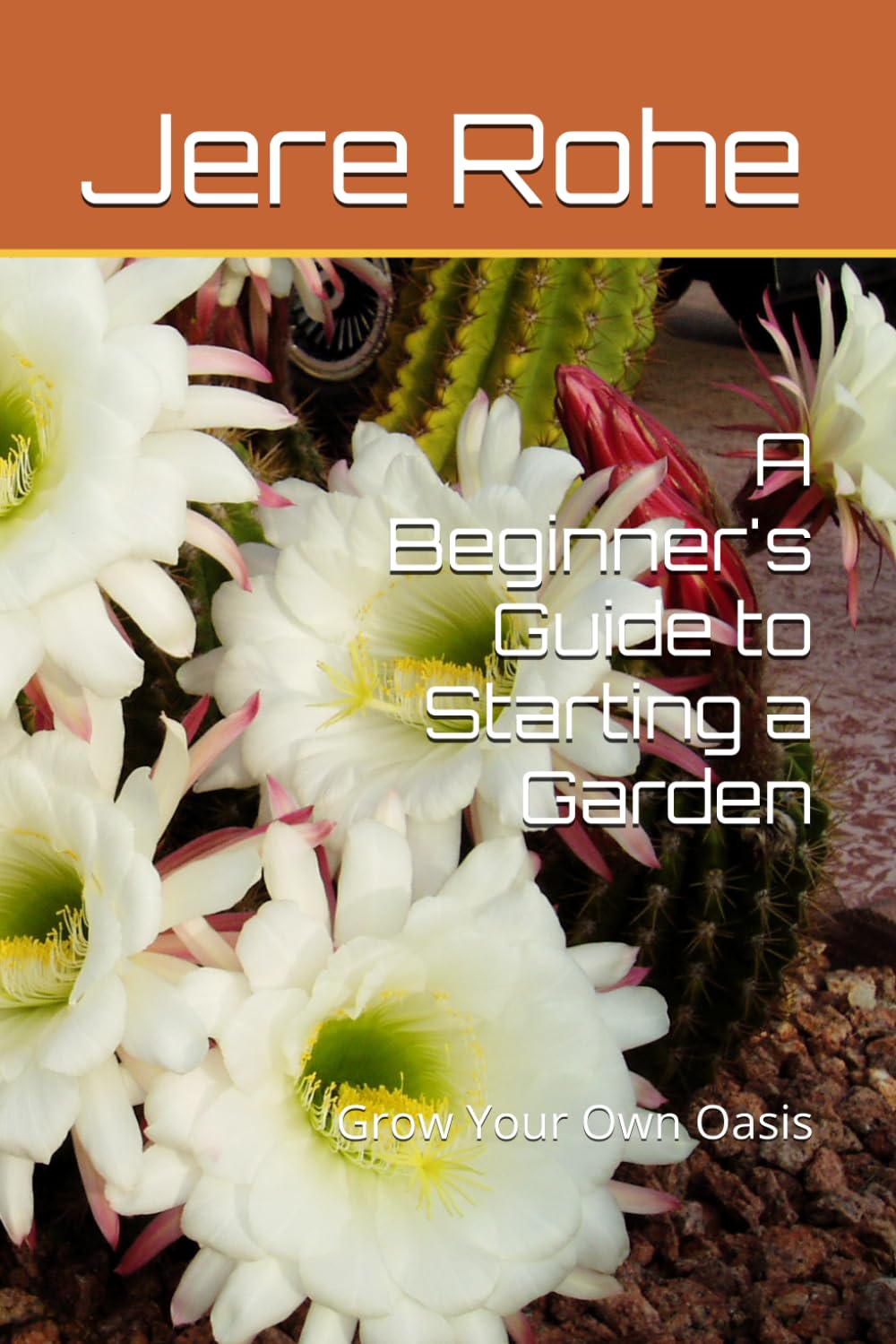 A Beginner's Guide to Starting a Garden: Grow Your Own Oasis