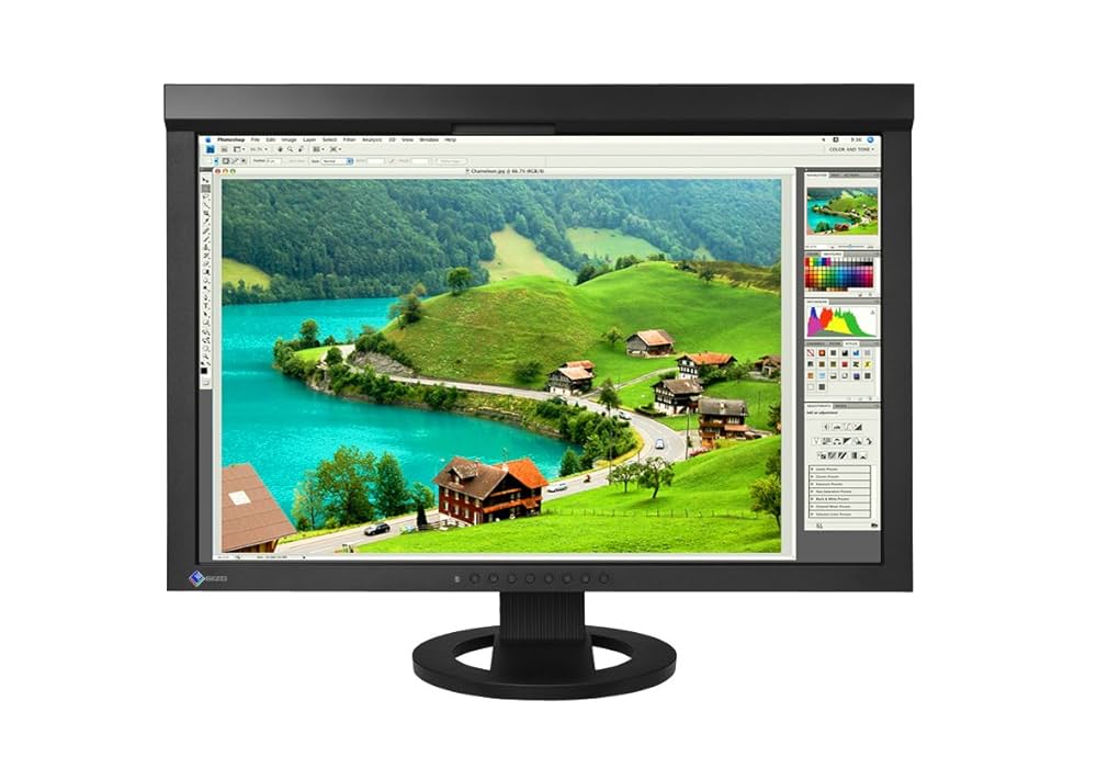 EIZO 24.1インチ PC モニター ColorEdge CG245W EIZO ColorEdge CG245W 24.1