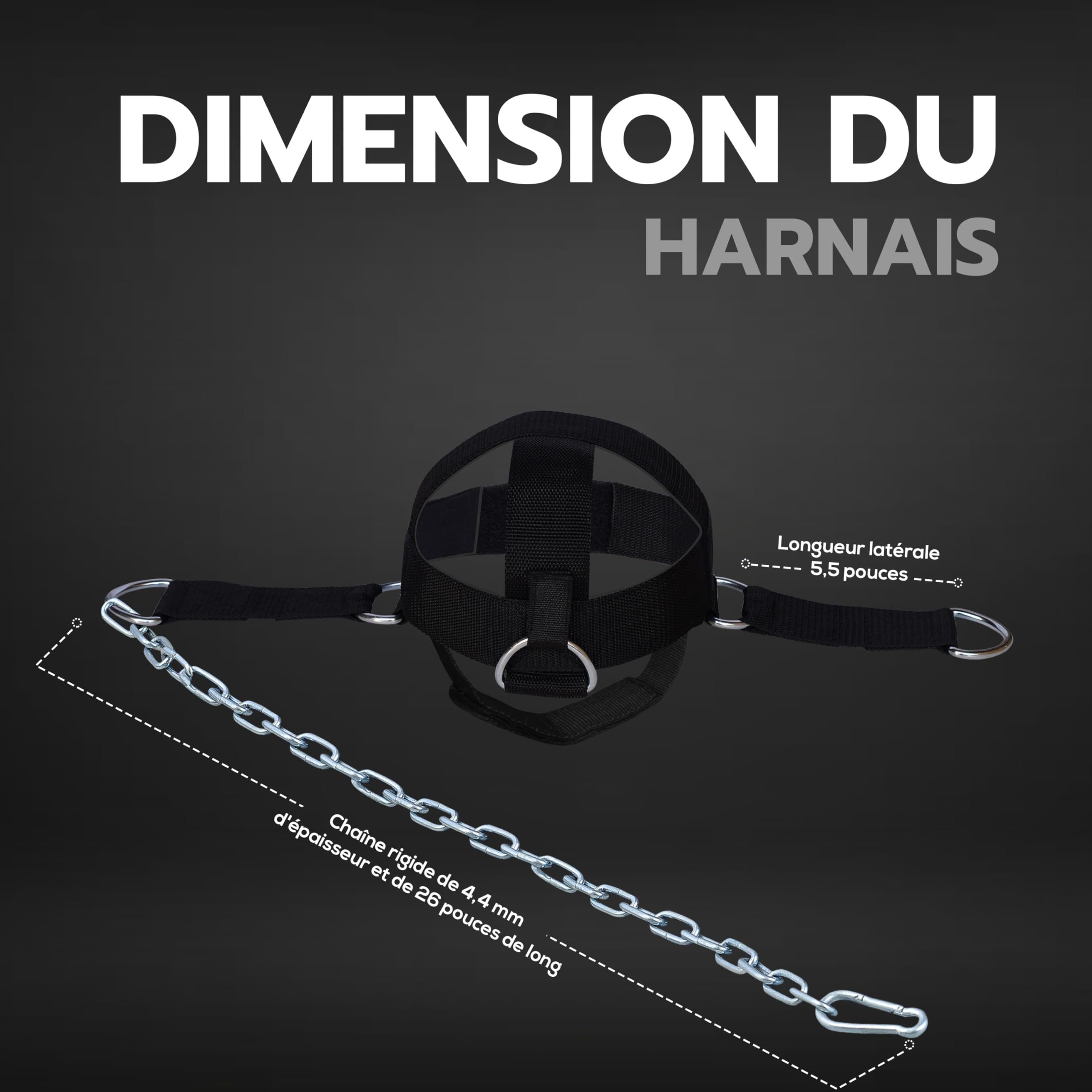 AQF Harnais Réglable Pour La Tête, Ceinture De Musculation Pour Le Cou Avec Fixation Par Anneau En D Et Chaîne En Acier, Pour La Musculation, Le Fitness, L'haltérophilie, Taille Unique