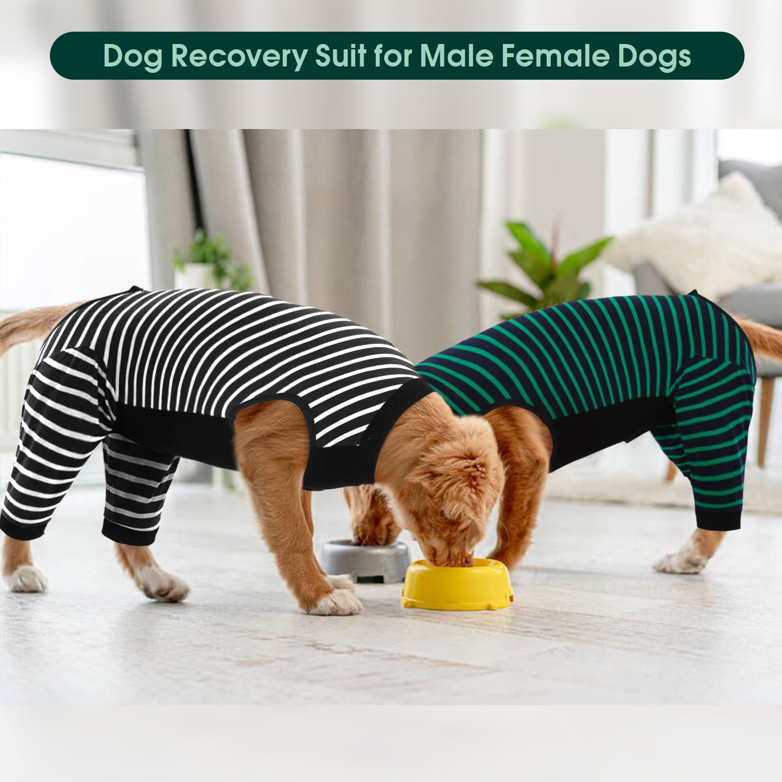 Kuoser OP Body para perro de castración, para perros después de la operación, con piernas antifugas para la pierna trasera, alternativa al cuello del cuello, 3XL oscuro