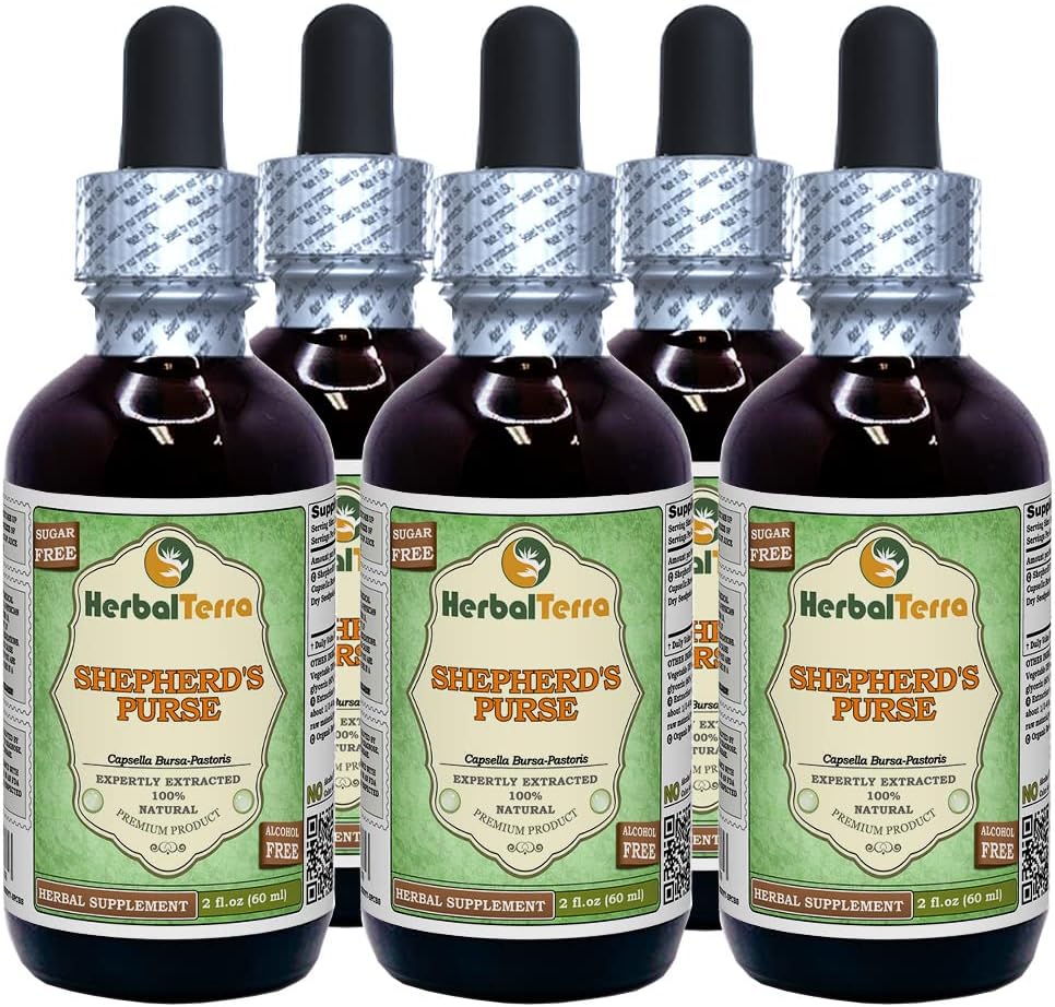 Shepherd's Purse (Capsella Bursa-pastoris) Tincture, Organic Dried Herb Liquid Extract (Brand Name: HerbalTerra, Proudly Made in USA) 4x4 fl.oz (4x120 ml)