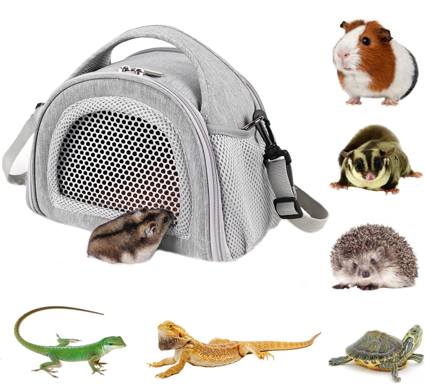 Guinea Pig Bag Carrier sites.unimi.it