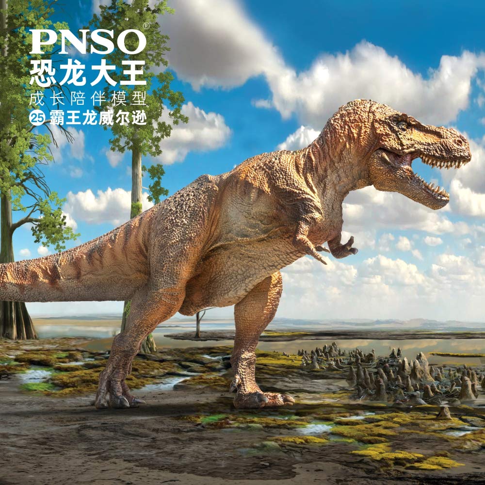 Amazon | PNSO 成長シリーズ 25 ティラノサウルス 恐竜 フィギュア