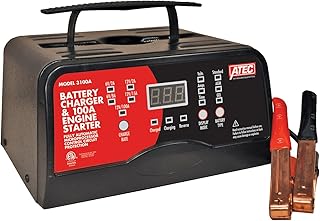 Associated Equipment 6/12 Volt Full_Rate Portable Smart Charger with 100A Engine Start (ASO-3100A)