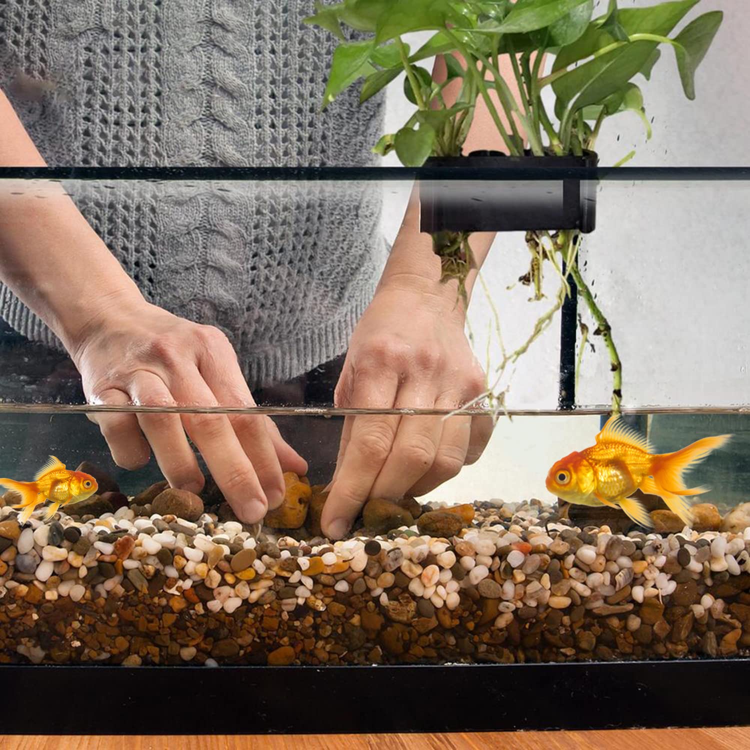 Support Pour D'Aquarium,Pots Stables Pour De Bassin - 4 Pièces Porte