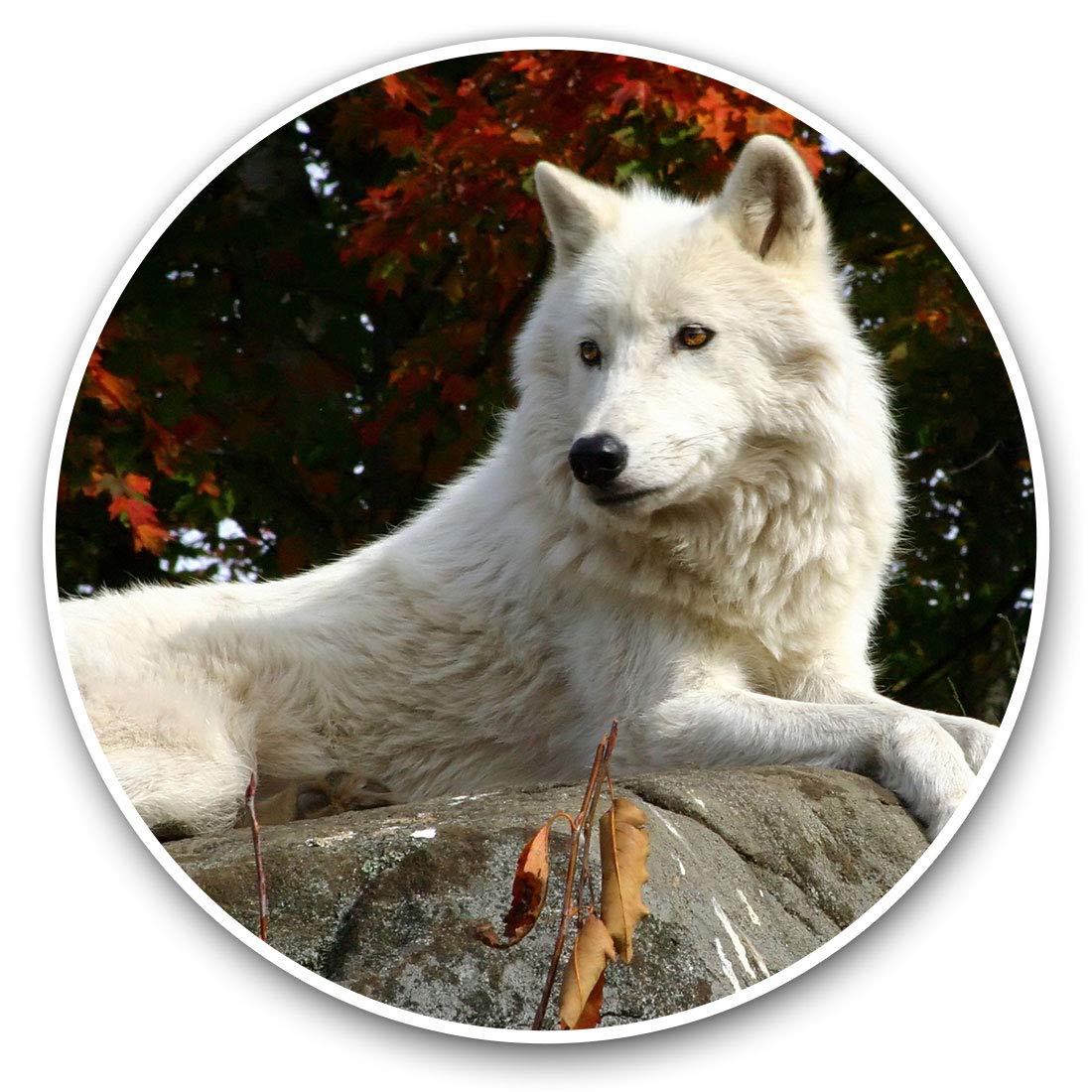 Destination Vinyl Ltd Arctic White Wolf Wild Dog 3050 Vinyl Stickers (Set Of 2) 7.5Cm - Arctic White Wolf Wild Dog #3050