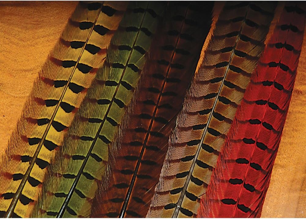 Hareline Ringneck Pheasant Tail Feathers Assorted Colors - Fly Tying