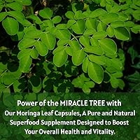 Vista 4 de Cápsula de Moringa de 1000 mg (120 cápsulas), cápsulas de polvo de moringa hechas de polvo de hoja de moringa orgánica Nutrición integral sin OMG