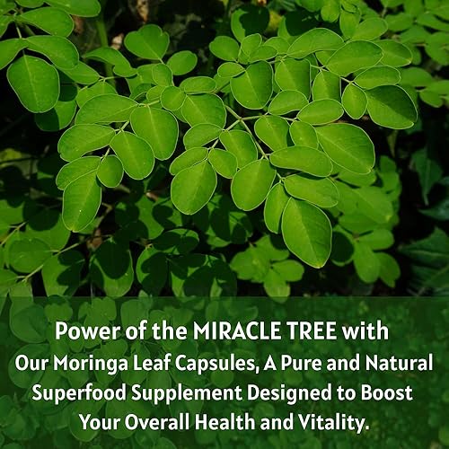 Vista 4 de Cápsula de Moringa de 1000 mg (120 cápsulas), cápsulas de polvo de moringa hechas de polvo de hoja de moringa orgánica Nutrición integral sin OMG
