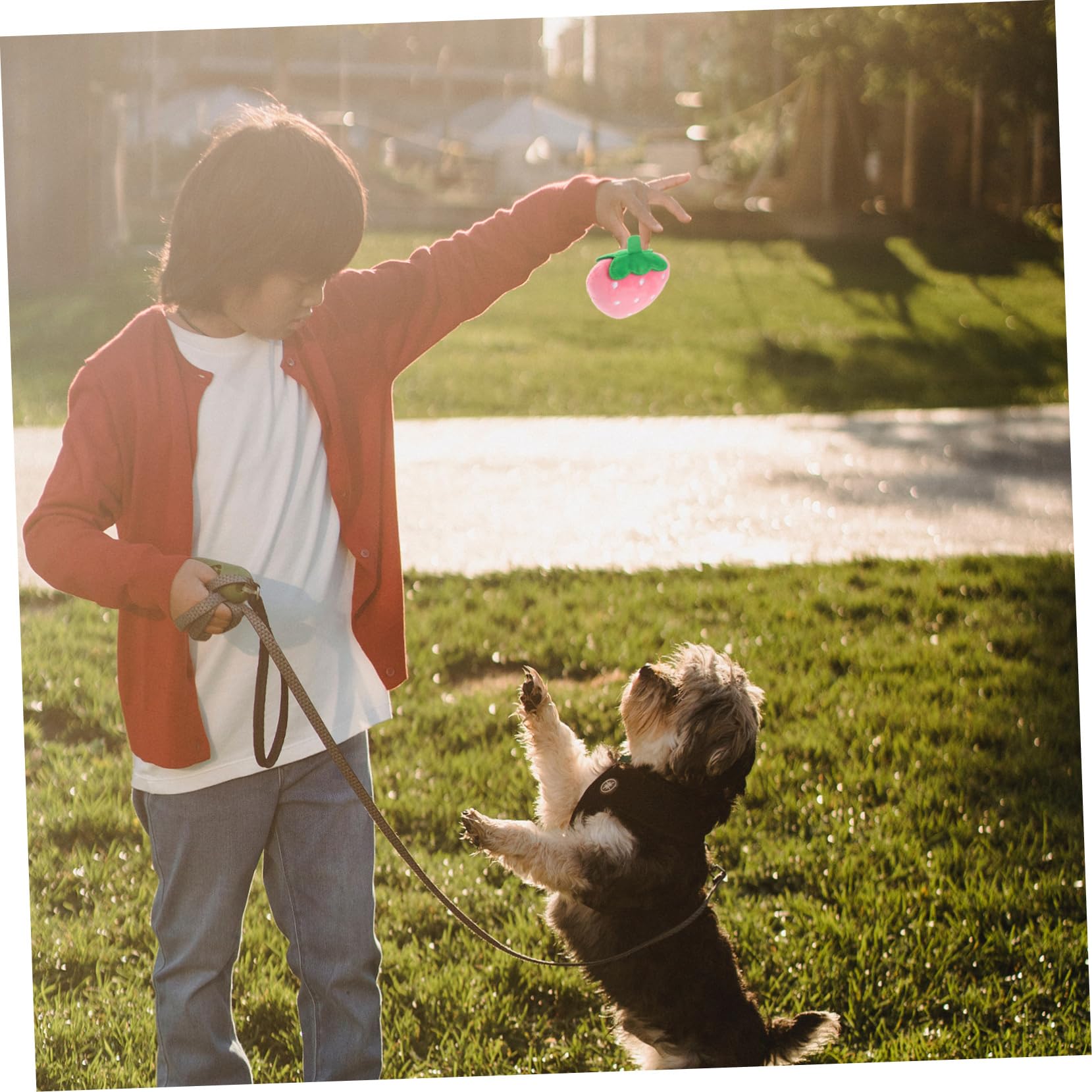 FOMIYES Jouet À Mâcher Couineur pour Chien Jouets pour Animaux De Compagnie pour Chiens Formation Matériau Sûr Jouet Interactif pour Chiot Jouets Sonores pour Animaux De Compagnie