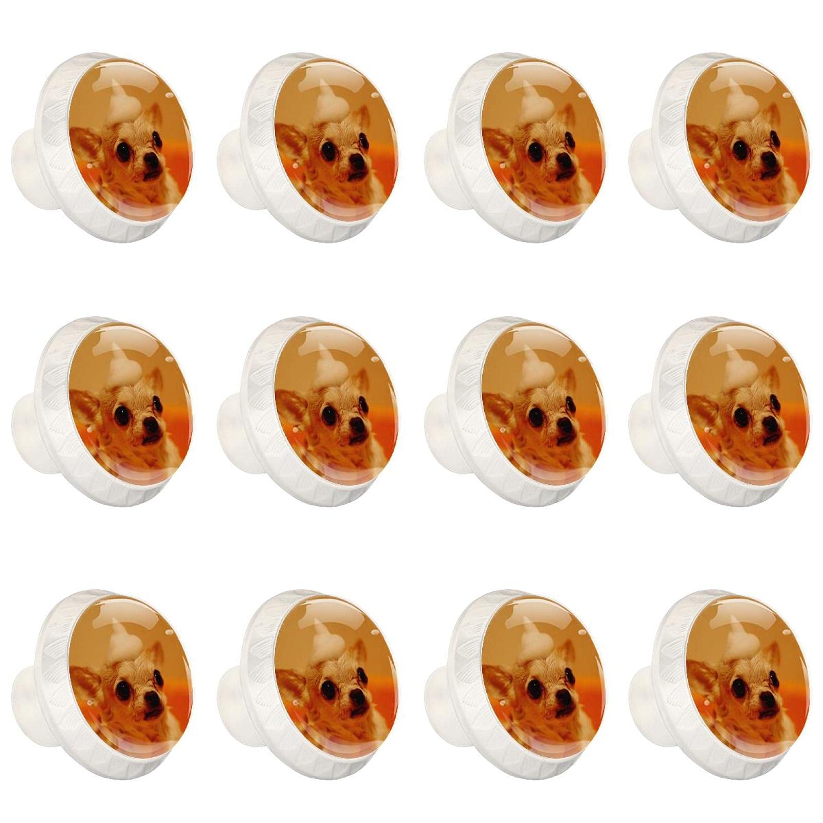 Boutons de cuisine chien x12 pour relooker une chambre d'enfant