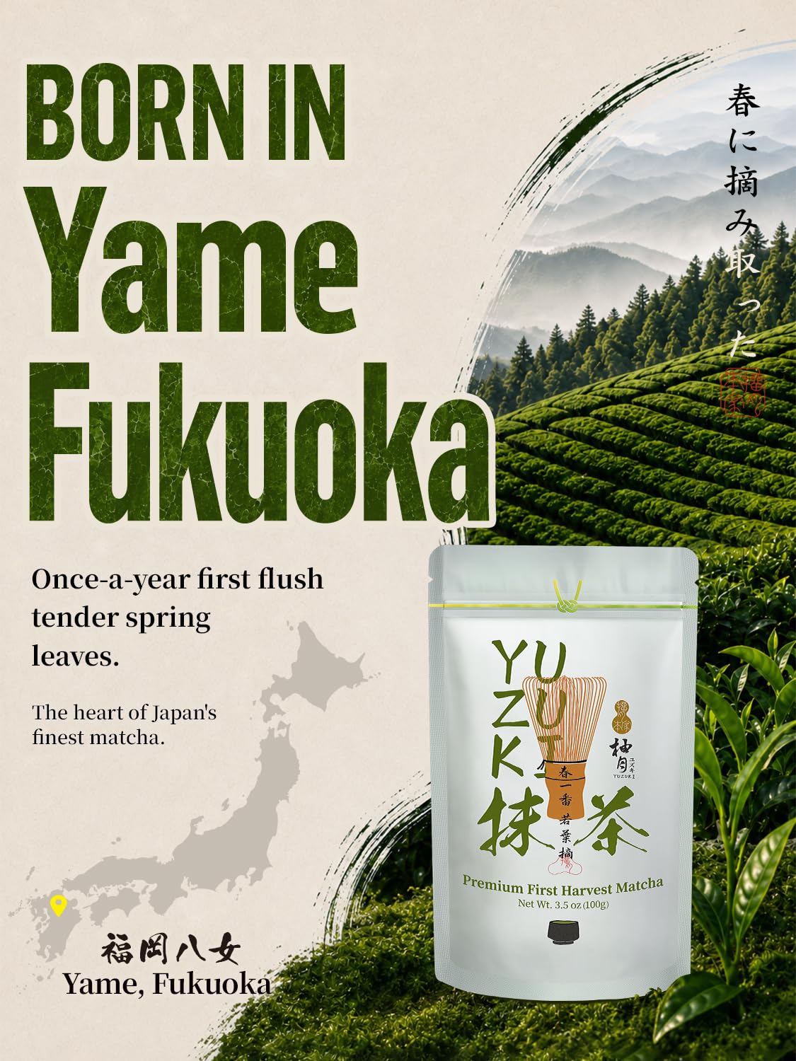 YUZUKI Matcha Cerimoniale Premium in Polvere di Yame, Fukuoka – Tè Matcha Giapponese – 100 g