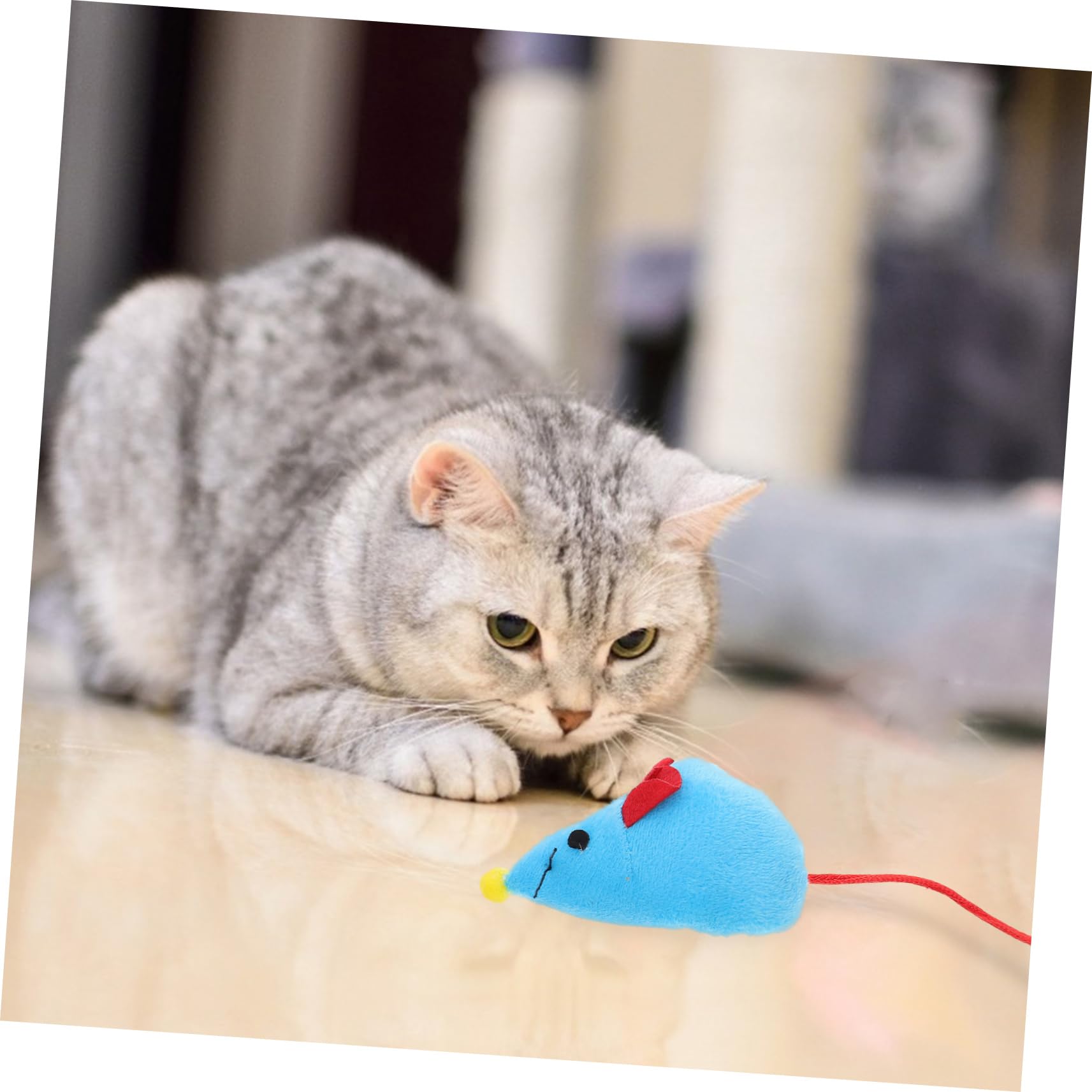 Didiseaon 4 Ensembles De Jouets De Marche pour Chat Trous Jouet pour Chat Tube pour Tunnel pour Chien Porte pour Mur Porte pour Chien Lit De Jeu Jouet À Cache-Cache Cochon en