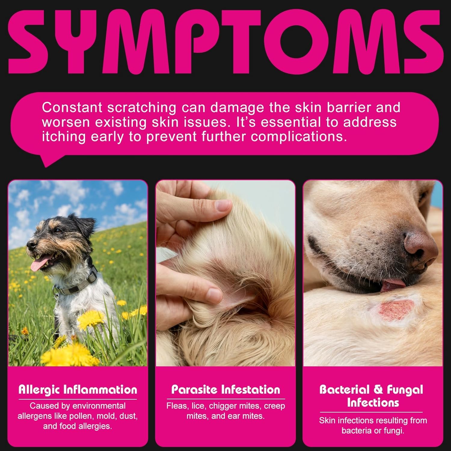 Démangeaisons Chien | 120 Compléments Premium | Réduit Léchages, Grattements & Mordillements | Oméga 3 & Probiotiques | Formule Vétérinaire | Saumon | 300g