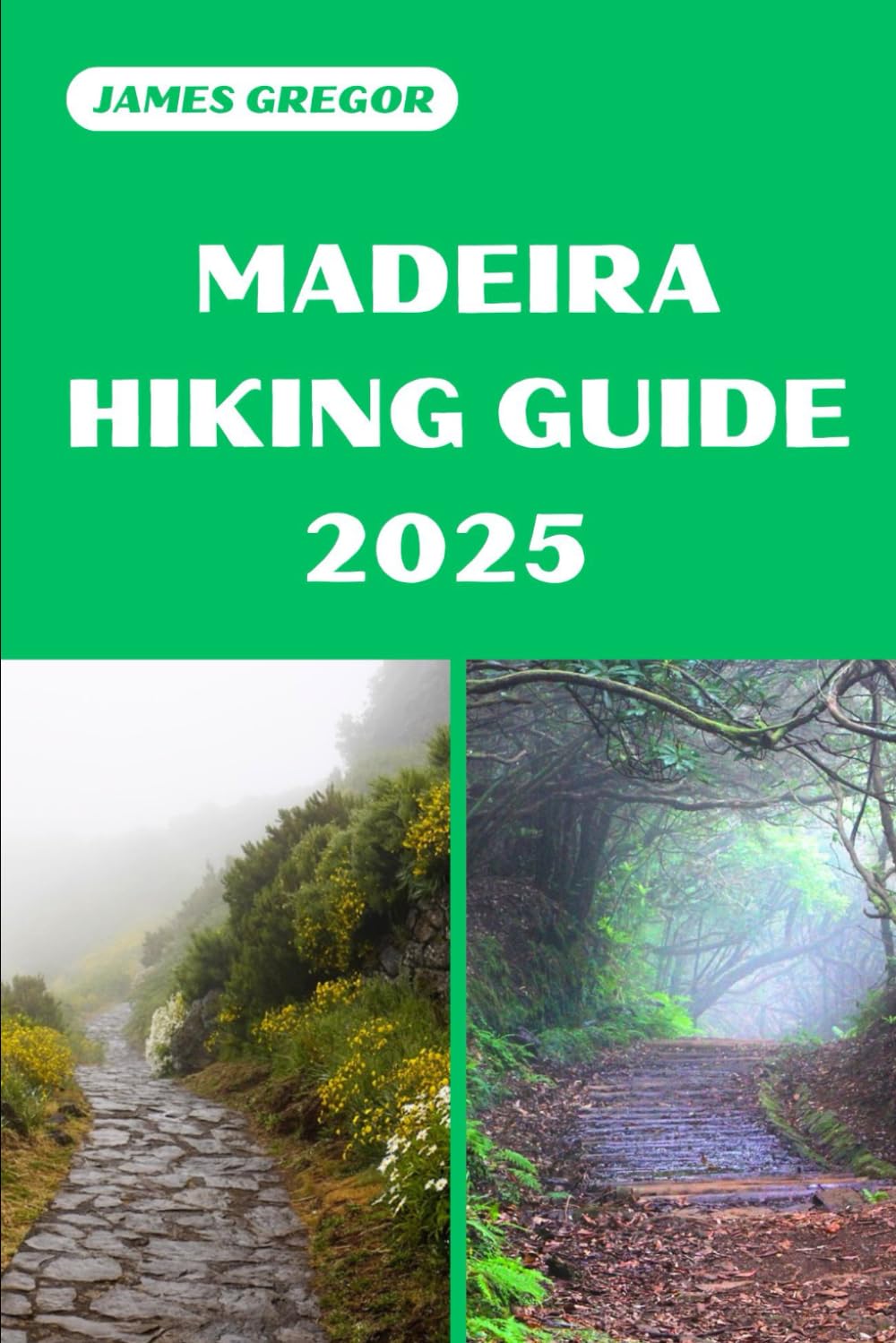 MADEIRA HIKING GUIDE 2025: Discover the Best Trails and Scenic Routes (HIKER’S PARADISE GUIDE)