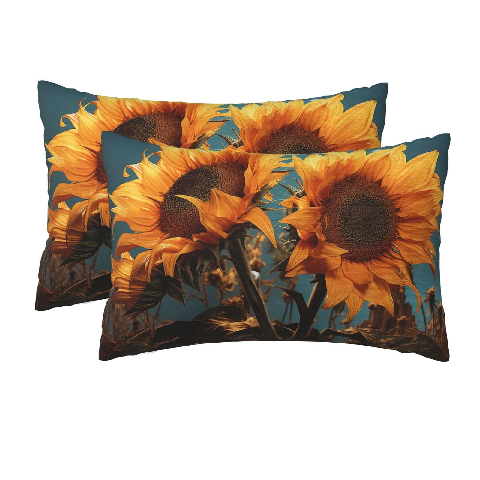 2 Pack Queen Size Pillow Cases for Hair and Skin Soft Breathable Pillow Case Covers with Hidden Zipper Fantasy Sunflower Pillowcase 20x30 Inches Pillow Cover for Sleeping Gift