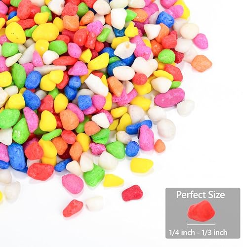 Miniatura 10 de Aditivo de suelo de roca de lava hortícola negra de 5 libras para cactus, rellenos de jarrones, suculentas y plantas de terrario, sin tintes ni