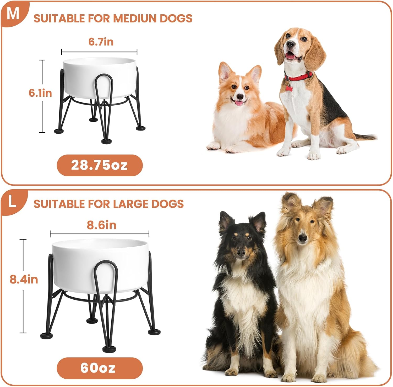 Elevate Your Pet