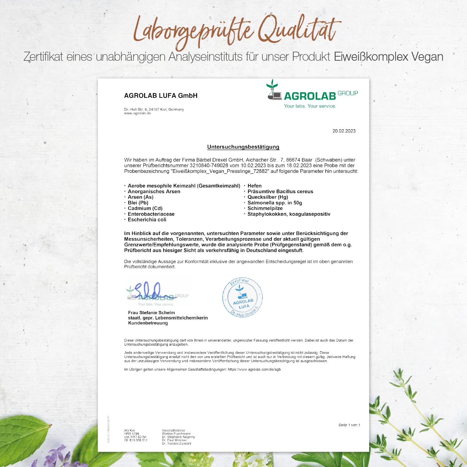 Eiweißkomplex Vegan I Eiweißpulver Tabletten Ohne Laktose (344 Stk) Erbsenprotein Hanfprotein Vitalstoffe Pflanzliches Protein Metabol BCAA Muskelaufbau Eiweiss naturbelassen BÄRBEL DREXEL®