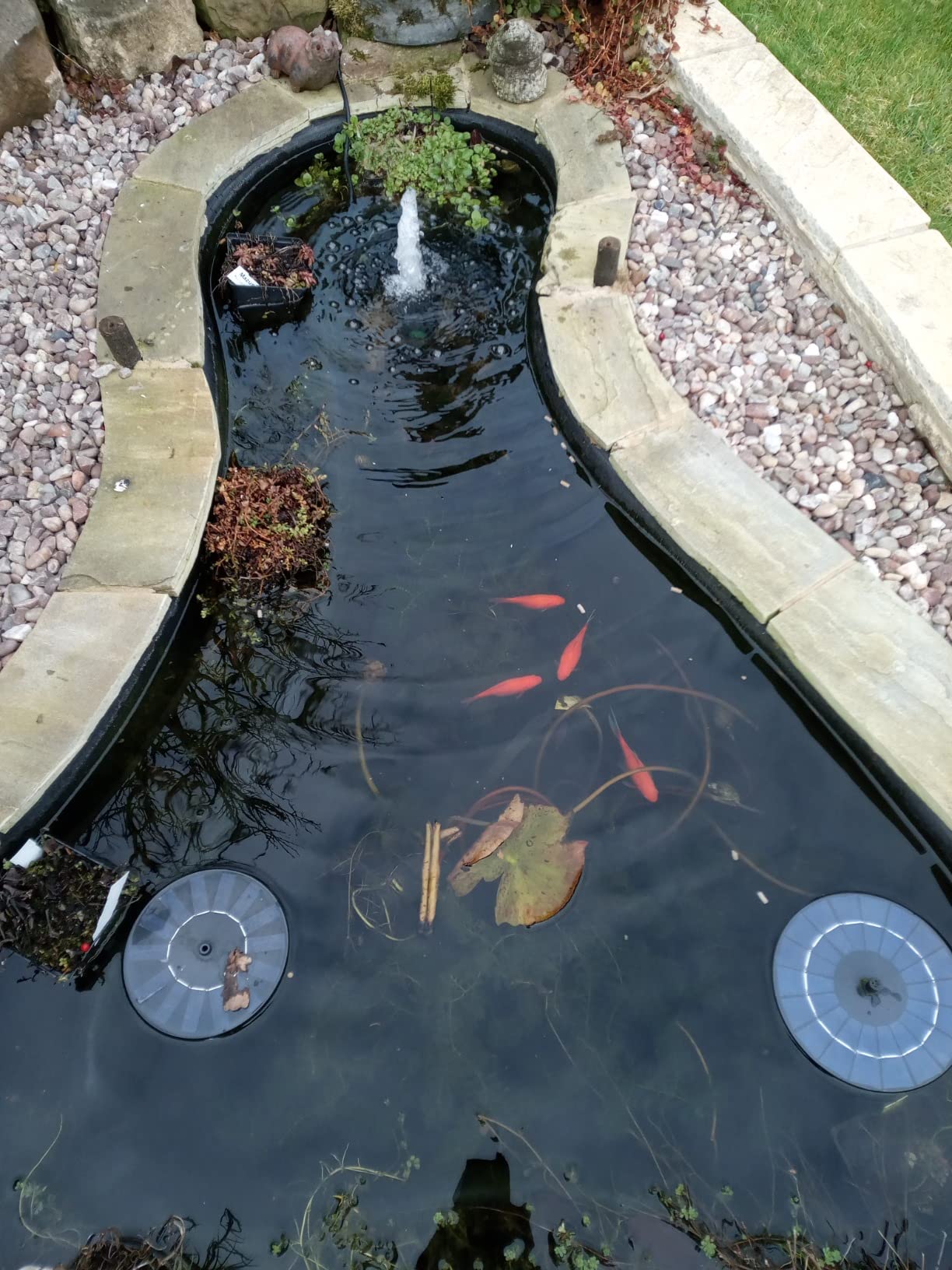Customer photo