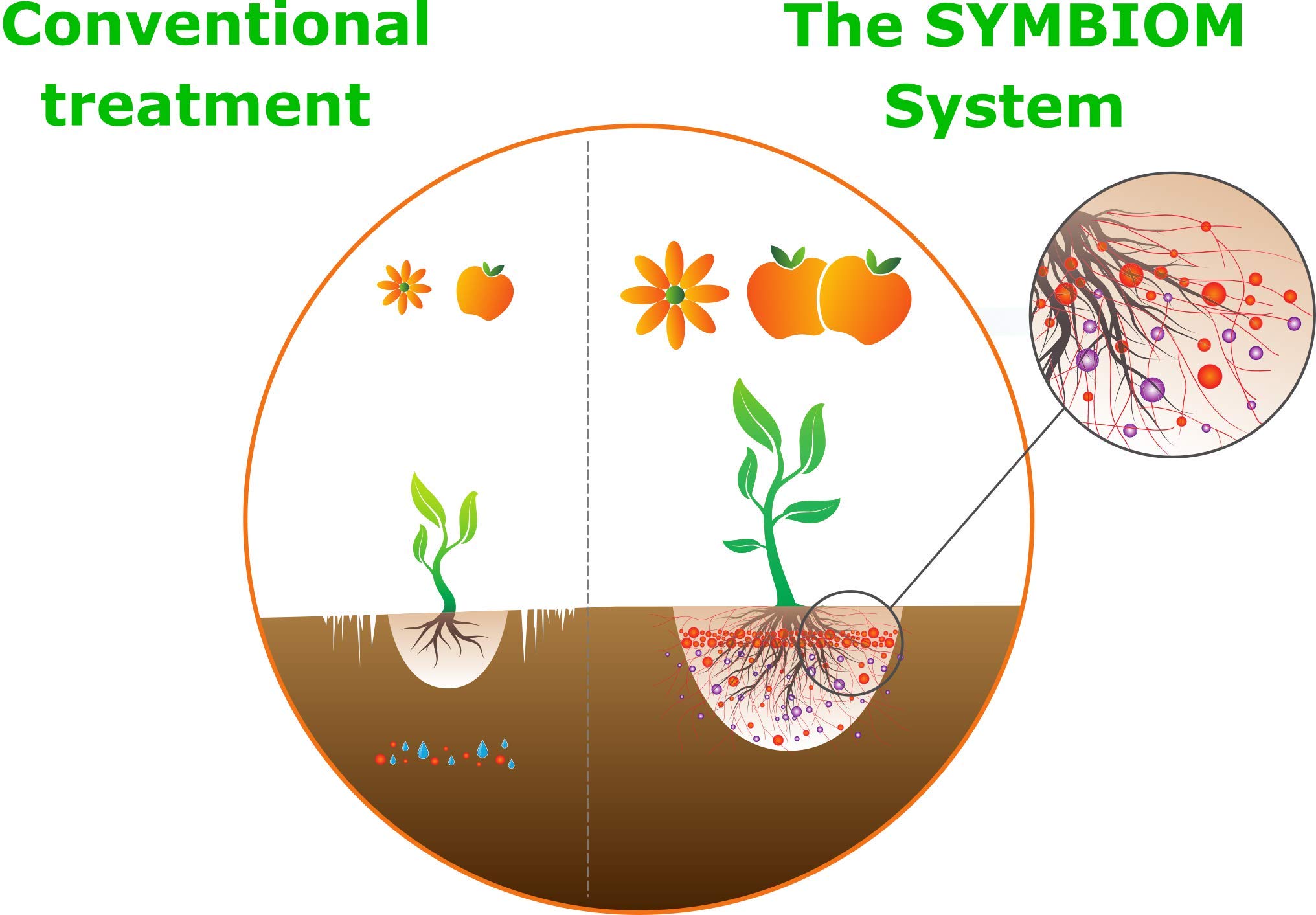 Mycorhizes Symbivit 750 g